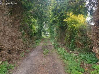 Ballynamona, Hospital, Co. Limerick - Image 4