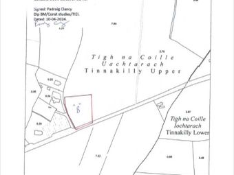 Tinnakilly (site 2), Aughrim, Co. Wicklow, Aughrim, Co. Wicklow - Image 3