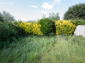 Hollymount, 60 Hartlands Avenue, The Lough, Cork, The Lough, Co. Cork - Image 3