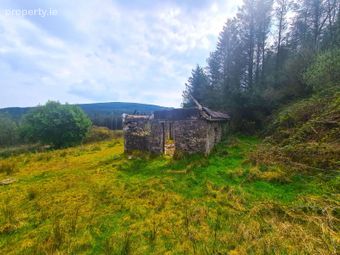 Derelict Cottage At Cloghvoolia, Killavullen, Mallow, Co. Cork - Image 3