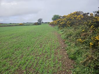 Ballyhooleen, Ballinhassig, Co. Cork - Image 2