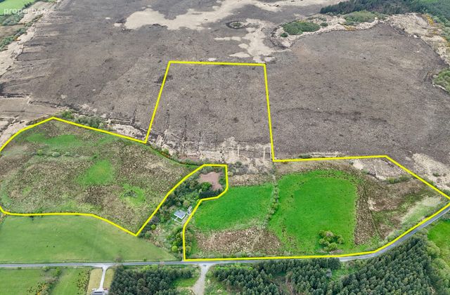 41.6 Acres (approx.) At Grange, New Inn, Ballinasloie, Co. Galway, Kitconnell, Co. Galway - Click to view photos
