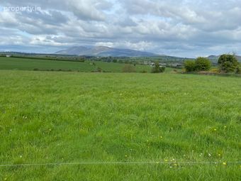 Mountain View, Tully, Glenroe, Glenroe, Co. Limerick - Image 5