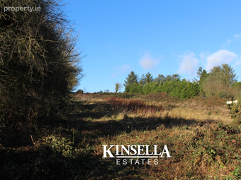 Mount Pleasant, Tinahely, Co. Wicklow - Image 2