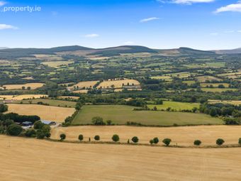 Garrymore Lower,rathdrum,co. Wicklow, Rathdrum, Co. Wicklow - Image 2