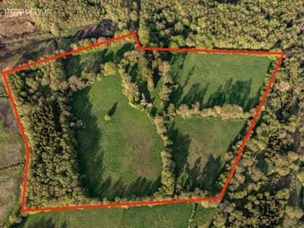 Derryvarogue, Donadea, Co Kildare, Donadea, Co. Kildare - Image 4