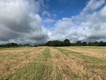 Ballycapplewood, Bantis, Cloughjordan, Nenagh, Co. Tipperary, The Pike, Co. Tipperary - Image 4