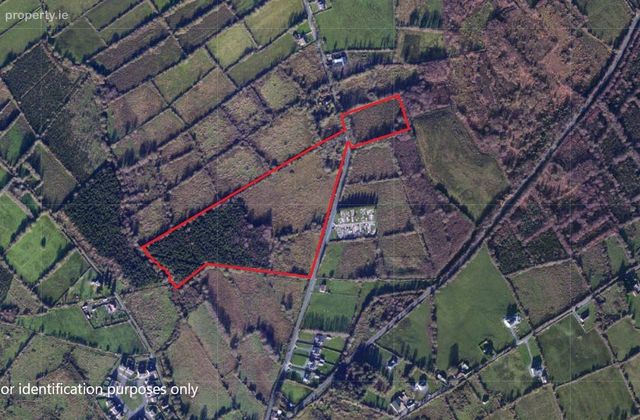 Lands At Barraghbeg, Drumlish, Co. Longford - Click to view photos
