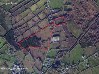 Lands At Barraghbeg, Drumlish, Co. Longford