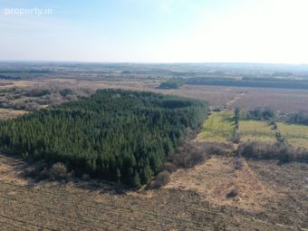 Clooncoose North, Castlerea, Co. Roscommon - Image 2