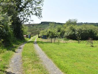 Derreenatawy, Ballyfarnon, Boyle, Co. Roscommon - Image 5