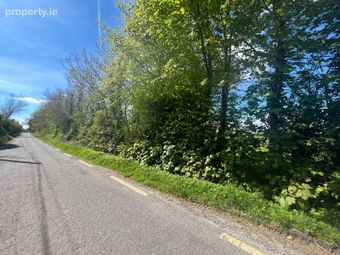 Windfield Upper , Menlough , Ballinasloe , Co. Galway, Menlough, Co. Galway - Image 4