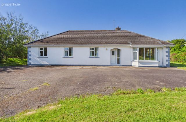 Dawn Mist, Ballyhire, Kilrane, Co. Wexford - Click to view photos
