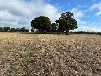 26.3 Acres Garretstown, Dunshaughlin, Co. Meath, Dunshaughlin, Co. Meath - Image 5
