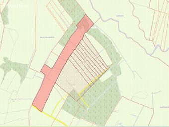 Ballyoughter, Rathcabbin, Co. Tipperary - Image 5
