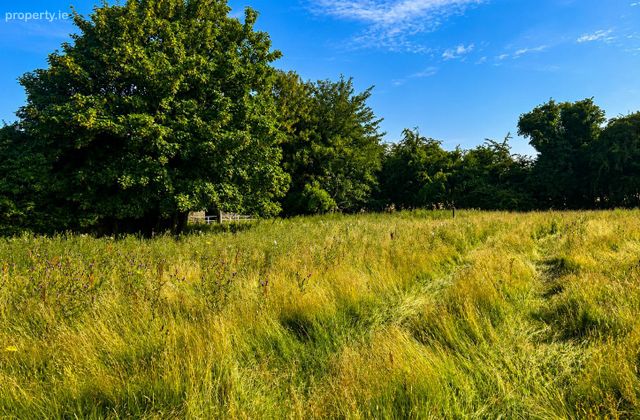 50.5 Acres, Thomastown, Kilcullen, Co. Kildare - Click to view photos