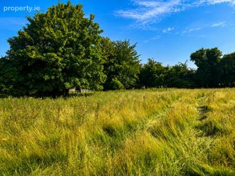 50.5 Acres, Thomastown, Kilcullen, Co. Kildare