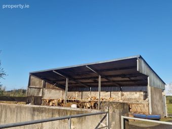 Trien, Castlerea, Co. Roscommon - Image 4