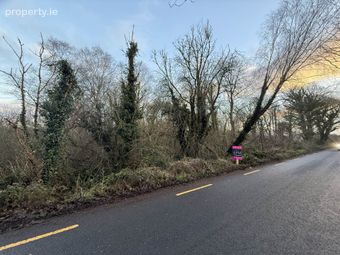 Garden Hill, Castleconnell, Co. Limerick, Castleconnell, Co. Limerick - Image 2