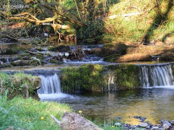 Oatlands, Bonniconlon, Bunnyconnellan, Co. Mayo - Image 4