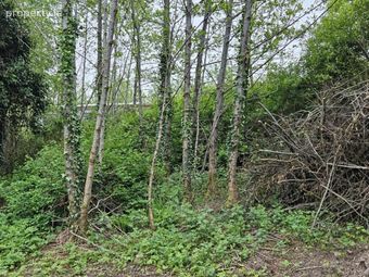 Derelict House, Tully Mountain, Rathmelton, Co. Donegal, Ramelton, Co. Donegal - Image 3