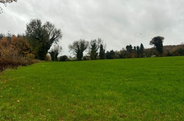 Mangan, Killane, Enniscorthy, Co. Wexford - Click to view photos