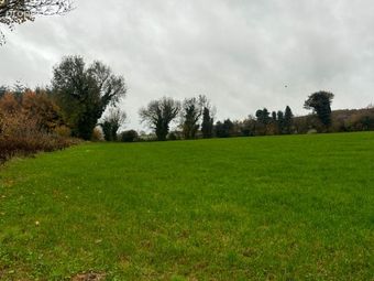 Mangan, Killane, Enniscorthy, Co. Wexford