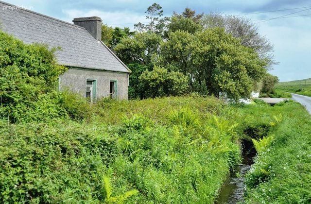 Rehy West, Kilrush, Co. Clare - Click to view photos