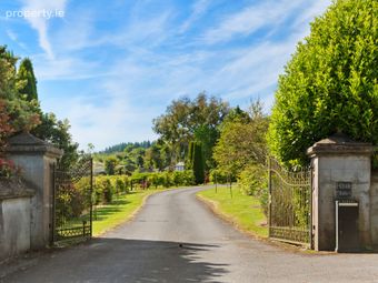 Hillside (15.91 Acres Aprx.), Glenbeg, Dungarvan, Co Waterford, Cappoquin, Co. Waterford - Image 4