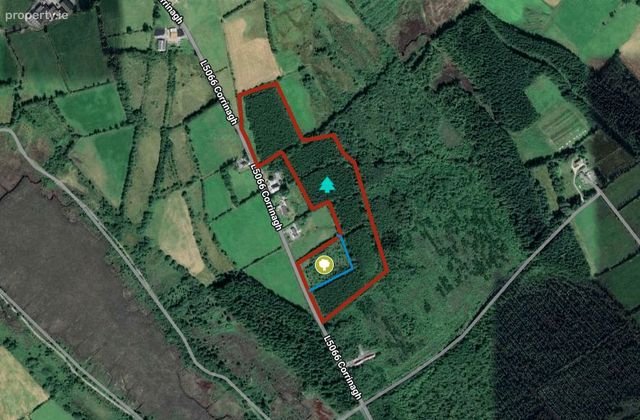 Corrinagh, Moyne, Co. Longford - Click to view photos