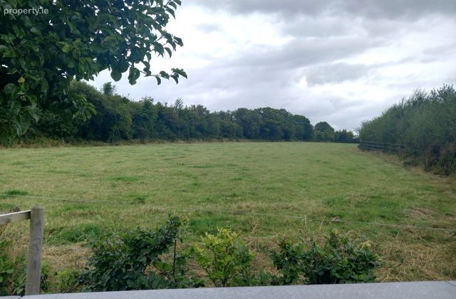 Woodhaven, Clonmore North, Cahir, Co. Tipperary - Click to view photos