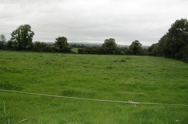 Ballyspellan, Johnstown, Co. Kilkenny - Click to view photos