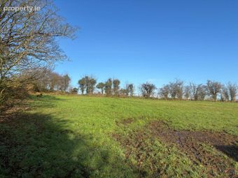 Garrynagree, Ballingarry, Co. Tipperary - Image 4