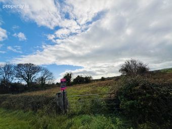 Morgan South, Askeaton, Co. Limerick, Askeaton, Co. Limerick