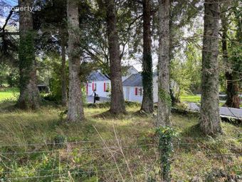 Faerie Nuff Cottage, Caddagh, Dromahair, Co. Leitrim - Image 5
