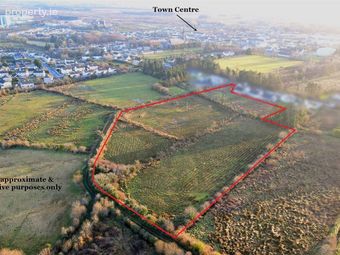 Ballyoughter, Ballaghaderreen, Roscommon, Ballaghaderreen, Co. Roscommon - Image 4