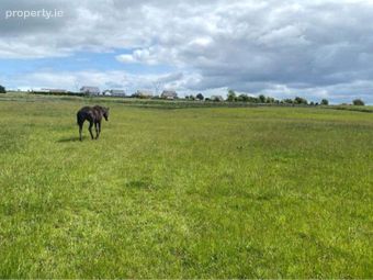 Mirah, Turloughmore, Co. Galway, Turloughmore, Co. Galway