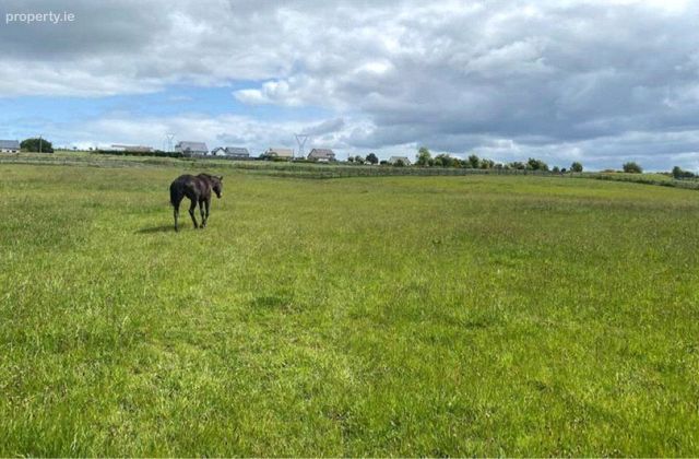 Mirah, Turloughmore, Co. Galway, Turloughmore, Co. Galway - Click to view photos