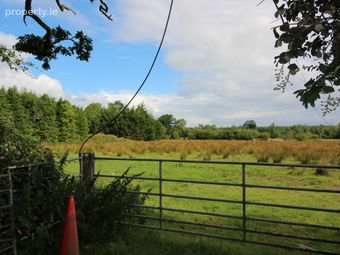 Limerick Road, Newport, Co. Tipperary
