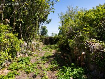 C. 5.2 Acres At Lane Of Stones, Carne, Co. Wexford - Image 5