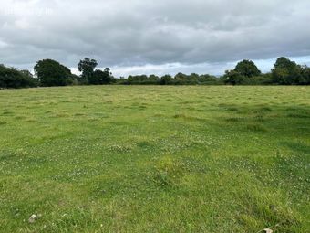 Ballyteiglea, Borris, Co. Carlow - Image 5
