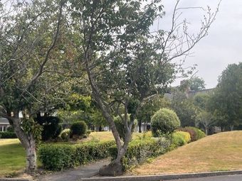 38 The Maltings, Bray, Bray, Co. Wicklow - Image 2