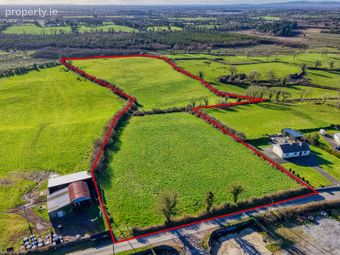 Carrowmanagh, Longford, Danesfort, Co. Longford - Image 5