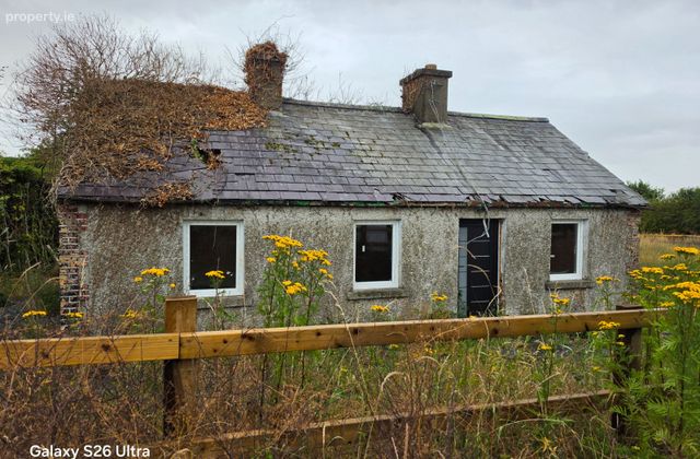 Carlow Road Ballylynan, Athy, Co. Kildare - Click to view photos