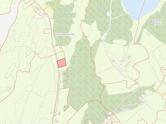 Moymore, Ruan, Ennis, Co. Clare, Ruan, Co. Clare - Image 5