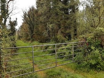 Mayo, Ballinamore, Co. Leitrim - Image 3