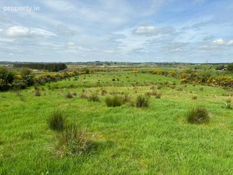 C. 48 Acres In Mountain Forthill, Ballyhaunis, Co. Mayo - Image 2