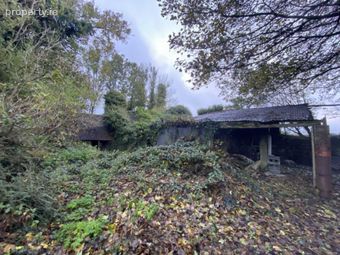 Ballysallagh (derelict Res. & C. 3 Acres), Hacketstown, Co. Carlow, Hacketstown, Co. Carlow