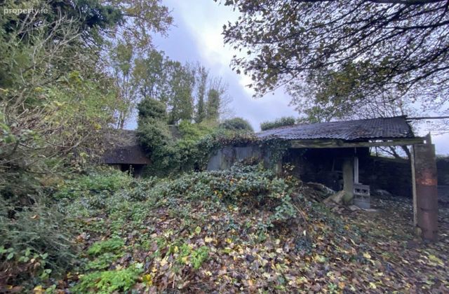 Ballysallagh (derelict Res. &amp; C. 3 Acres), Hacketstown, Co. Carlow, Hacketstown, Co. Carlow - Click to view photos