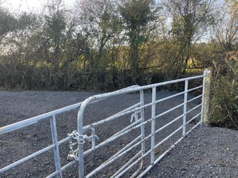 Tinnatarriff, Cappamore, Co. Limerick, Cappamore, Co. Limerick - Image 4